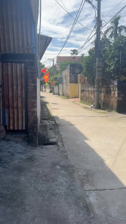 Đất nền xóm 8 Tự Nhiên 103,1m² giá thỏa thuận - Đường ô tô tránh nhau!