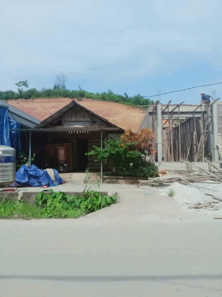 Đất thổ cư 240m² tại thôn Tân Phong, Yên Bình - Giá siêu rẻ, hỗ trợ thủ tục!