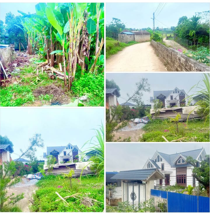 Đất thổ cư Hồng Tiến 150m² giá chỉ 1 tỷ - Đầu tư sinh lời ngay!