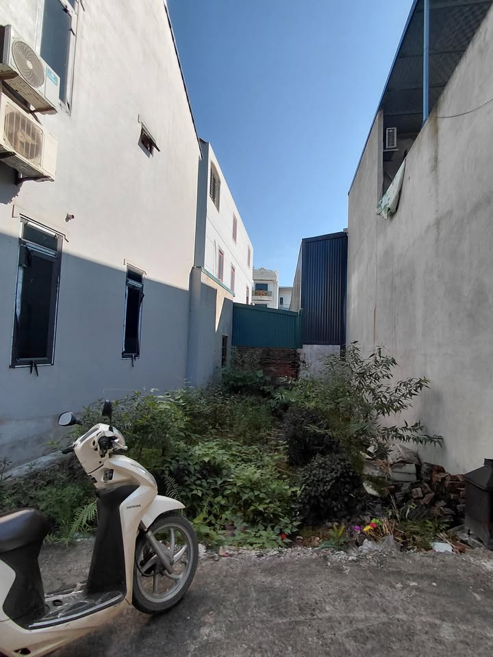 Đất nền Vân Tảo Thường Tín 50m² giá 2.911 tỷ - Vị trí đắc địa, dân cư văn minh!