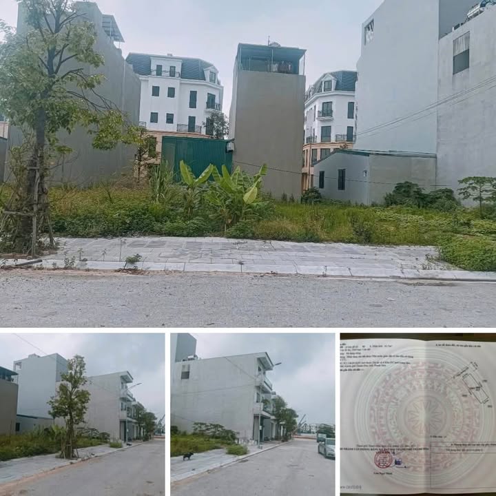 Đất nền phường Đông Hải 63.7m² giá 3.1 tỷ - Mặt tiền đẹp, đầu tư sinh lời!