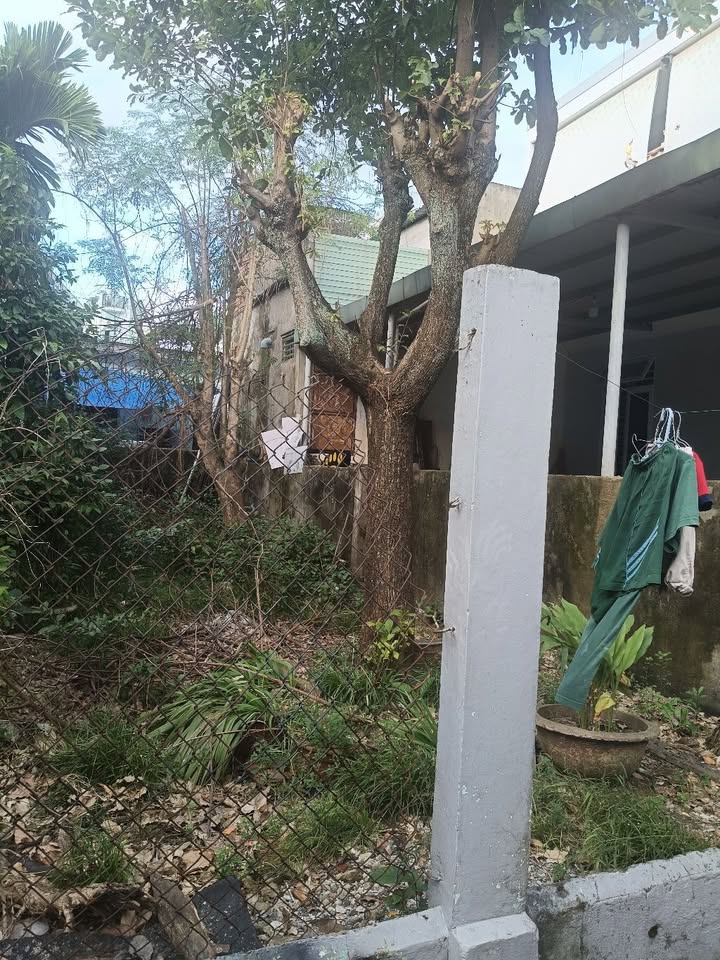 Bán đất 53m² đường Điện Biên Phủ, quận Thanh Khê, Đà Nẵng - Kiệt rộng thoáng, gần công viên!