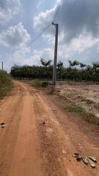 Đất nền F0 Minh Thạnh 230m² - Vị trí cao, giá thỏa thuận hấp dẫn!