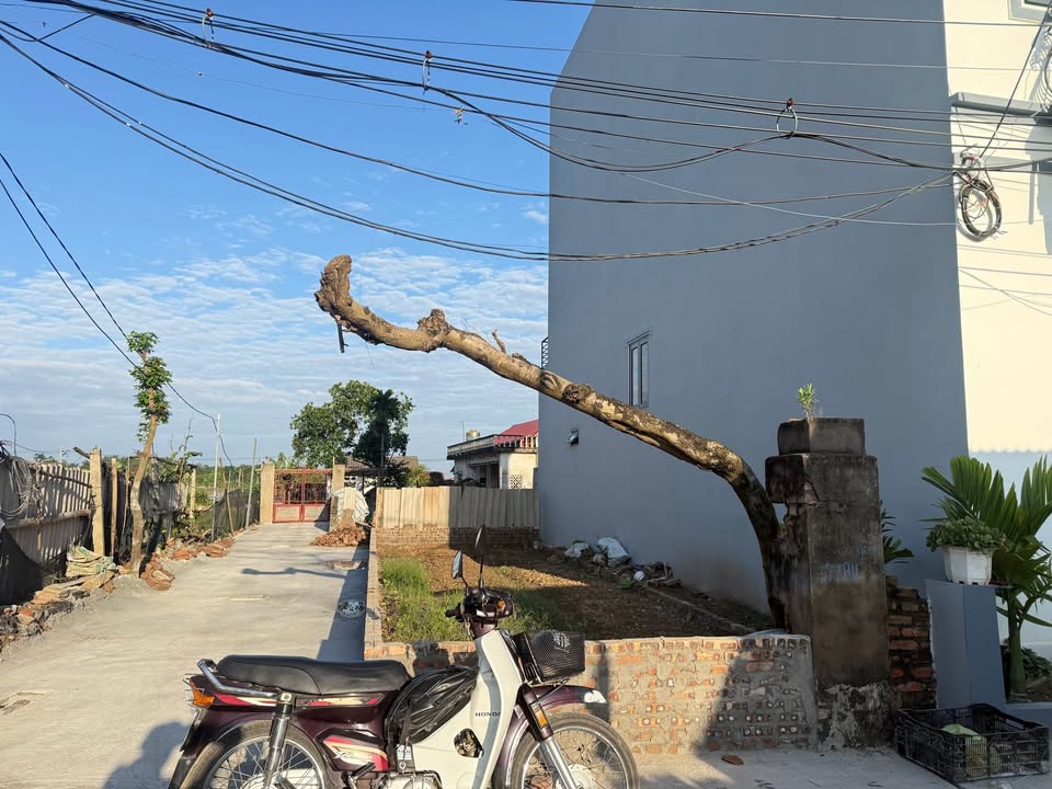 Lô đất đẹp Tiền Phong Mê Linh 75.6m² giá 4.2 tỷ - Đầu tư sinh lời cao!