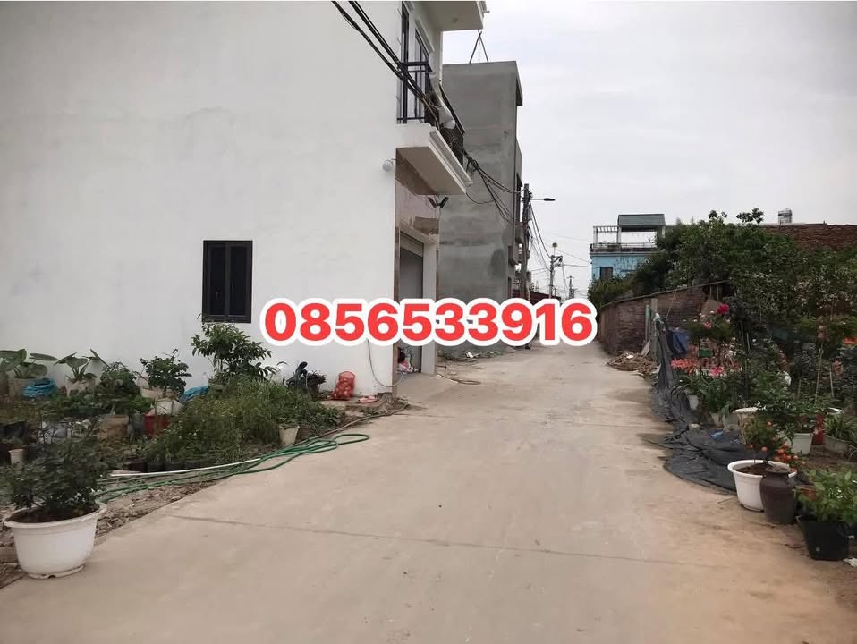 Đất nền Quang Minh Mê Linh 51,9m² giá 2,55 tỷ - Đầu tư sinh lời lý tưởng!