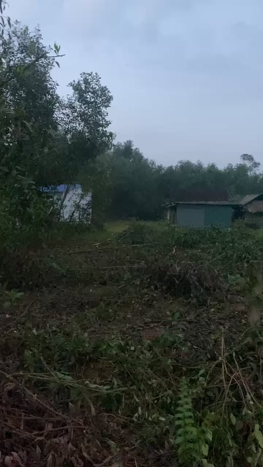 Đất nền Hương Bình, Hương Khê 640m² - Giá thỏa thuận hấp dẫn!