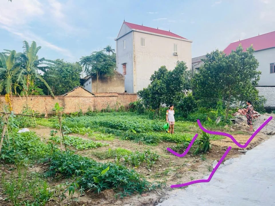 Đất nền chính chủ tại thôn Tràng, xã Tự Lạn, 120m² - Giá chỉ từ 6xx triệu!