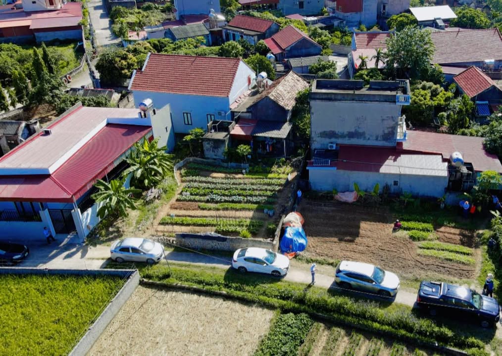 Đất nền Cương Sơn Lục Nam 100m² chỉ 400 triệu - Cơ hội đầu tư tuyệt vời!