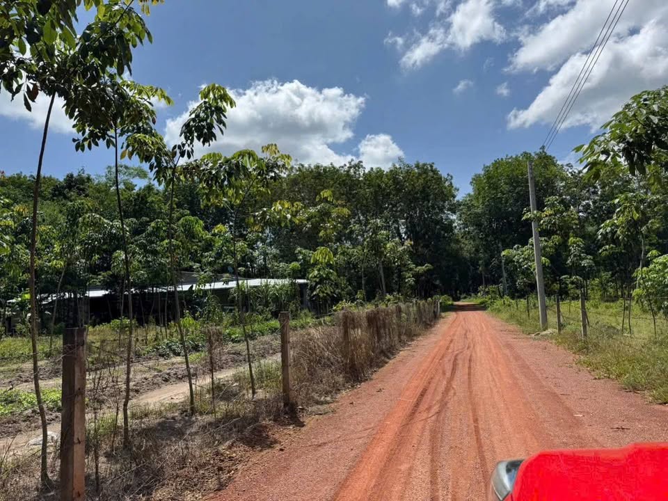 Đất thổ cư 225m² xã Thanh An, Dầu Tiếng - Giá chỉ 420 triệu/lô