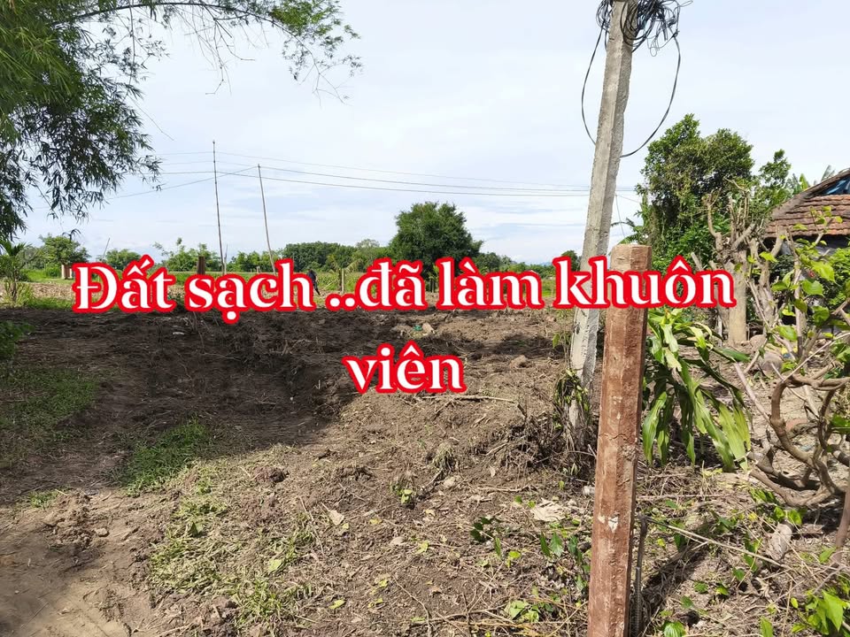 Đất nền Mỹ Tài, Phù Mỹ, Bình Định 500m² - Giá thỏa thuận, cơ hội đầu tư tốt!