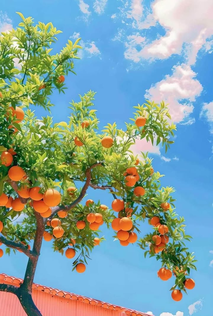 Đất nền đường Đông Phương Hồng, Ninh Bình 75m² giá 8 tỷ - Vị trí đắc địa gần trung tâm!