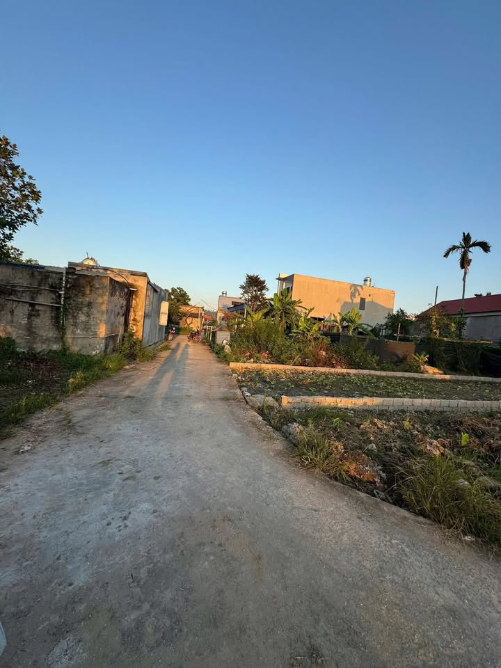 Đất nền An Thắng, An Lão 79.5m² giá 900 triệu - Đường ô tô vào tận nơi!