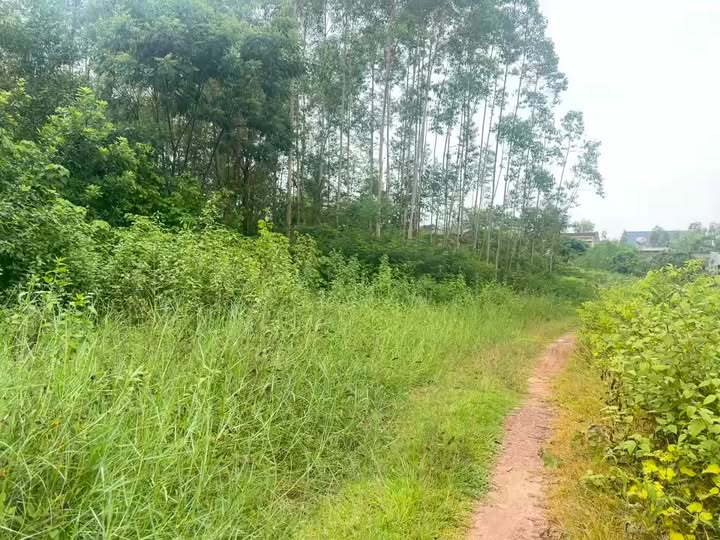 Đất nền Đại Lâm, Lạng Giang 1400m² giá 3.95 tỷ - Sổ đỏ chính chủ ngay!