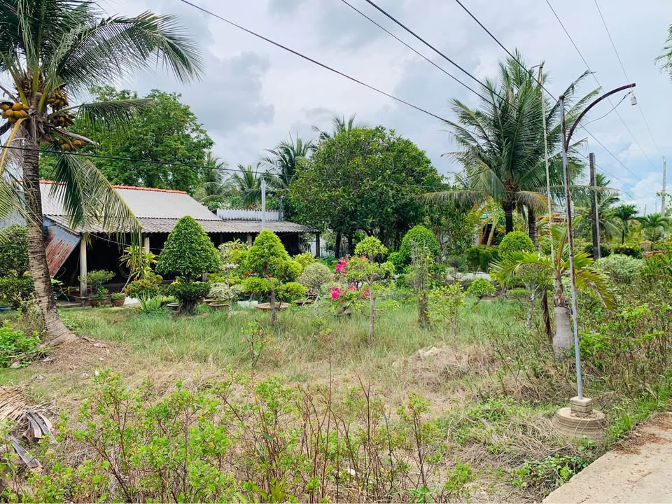 Đất nền Kinh Ranh, Đầm Dơi, Cà Mau 31 công - Cơ hội đầu tư hấp dẫn!