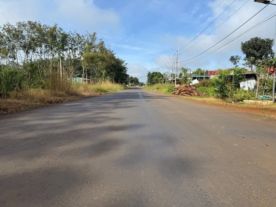 Đất thổ cư Tỉnh Lộ 685, Đắk R'Lấp, 5000m² - Cơ hội đầu tư hấp dẫn!