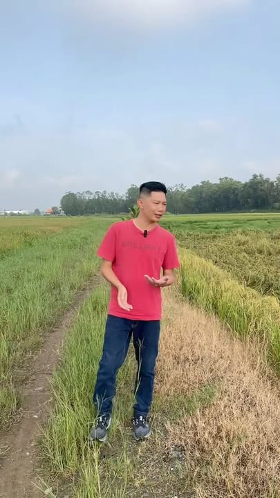 Đất màu hồng 1626m² tại Vĩnh Thanh, Nhơn Trạch - Cơ hội đầu tư hiếm có!