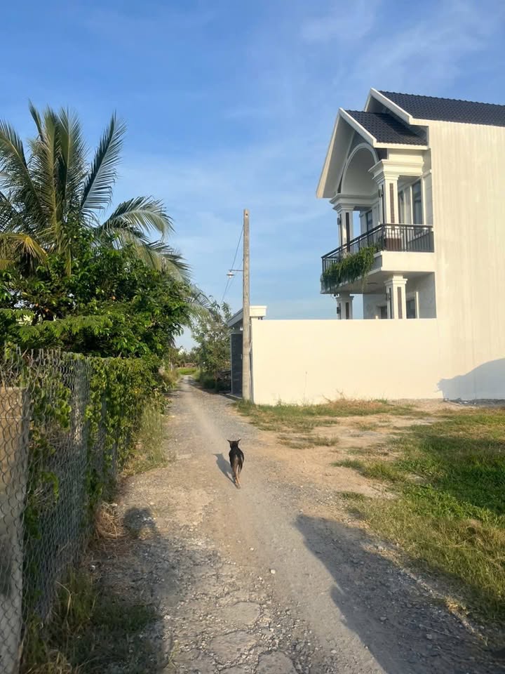 Đất thổ cư Nhựt Chánh, Bến Lức 250m² giá 1.45 tỷ - Cơ hội đầu tư sinh lời!