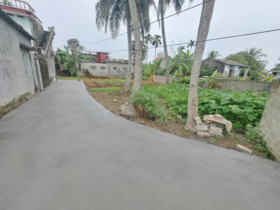 Lô đất thổ cư 250m² tại Hà Kỳ, Tứ Kỳ giá chỉ 9xx triệu - Đầu tư sinh lời ngay!