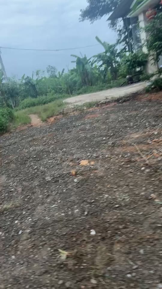 Đất nền Đông Sơn Đô Lương 136m² giá 1.45 tỷ - Cơ hội đầu tư hấp dẫn!