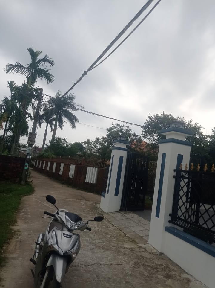 Đất nền Hương Trà, Tam Kỳ 150m² - Vị trí đẹp, chính chủ bán gấp!