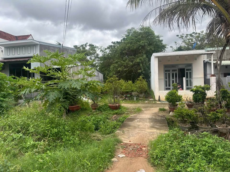 Đất nền thôn Háo Đức 1, phường Nhơn An, 137m² giá 700 triệu - Cơ hội đầu tư không thể bỏ lỡ!