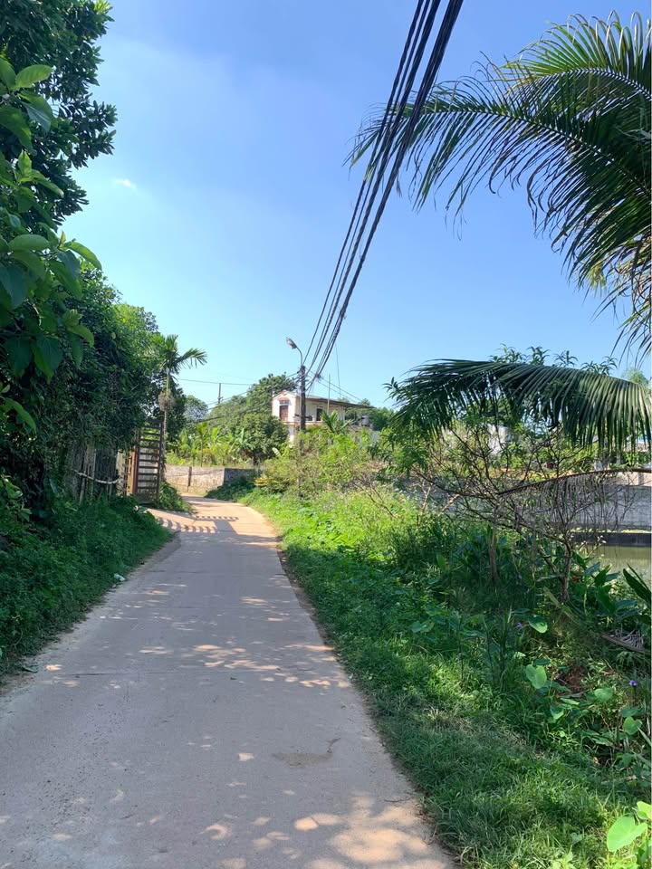 Đất nền Tân Lập 280m² giá 1 tỷ - Đầu tư sinh lời ngay!