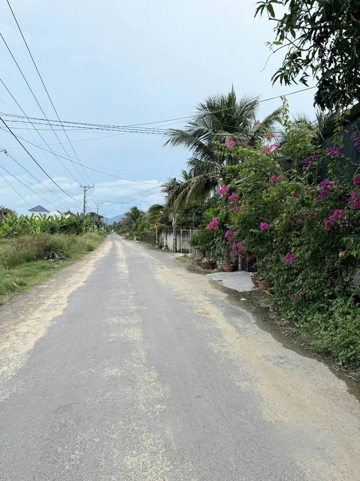 Đất mặt tiền đường nhựa Suối Tiên 183.1m² giá 1.4 tỷ - Cơ hội đầu tư hấp dẫn!