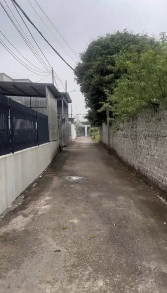 Đất nền thổ cư tại Thôn 5 Đông Sơn Tam Điệp 182m² - Gần chợ Đông Dân Cư!