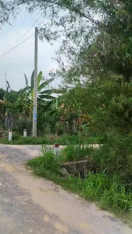 Đất nền 2 mặt tiền An Thới, Trảng Bàng 100m² giá 590 triệu - Đầu tư sinh lời ngay!
