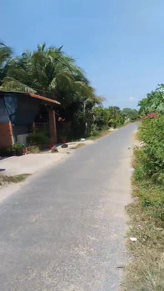 Đất mặt tiền nhựa KP Gia Lâm, Trảng Bàng 378m² giá 900 triệu - Bán gấp!