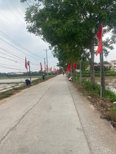 Đất nền xã Tam Thuấn, huyện Phúc Thọ 121m² giá chỉ từ 20 triệu - Đầu tư sinh lời tuyệt vời!