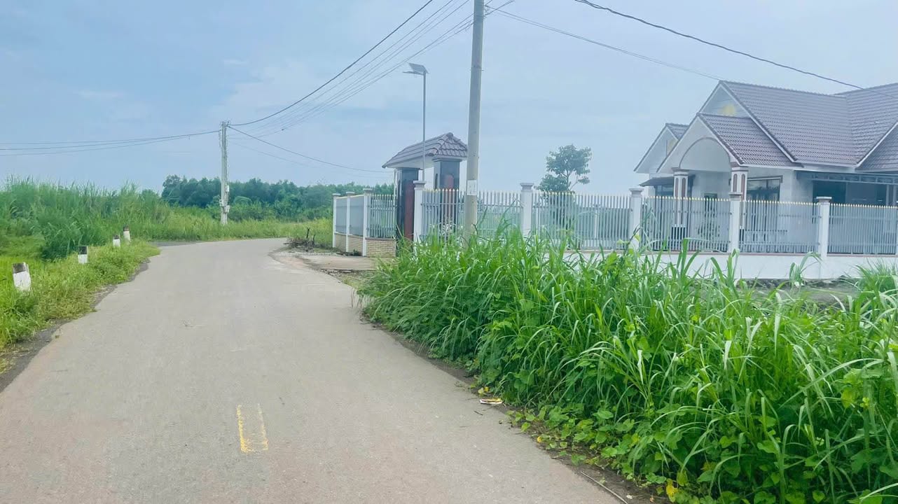 Lô Đất Mặt Tiền Đường Nhựa 1000m² tại Đất Đỏ - Giá chỉ 2.5 tỷ, Thích hợp nghỉ dưỡng!