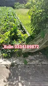 Đất nền 111m² tại Trung Kênh - Lương Tài, giá chỉ 1 tỷ - Sổ hồng sang tên ngay!