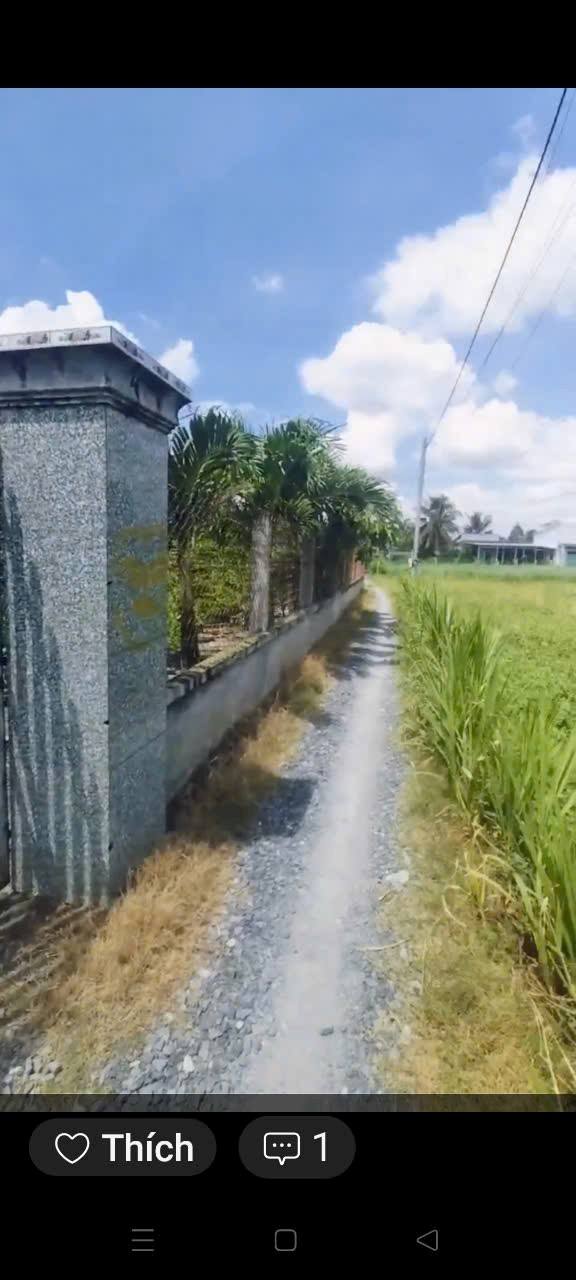 Đất nền 202m² tại Ấp Bình Hòa Long, Gò Công Tây - Giá sốc chỉ 210 triệu!