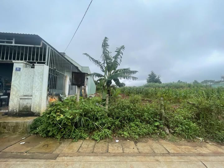 Đất nền mặt tiền Nguyễn Xí, Plei Ku, 2640m² giá 22.2 tỷ - Cơ hội đầu tư tuyệt vời!