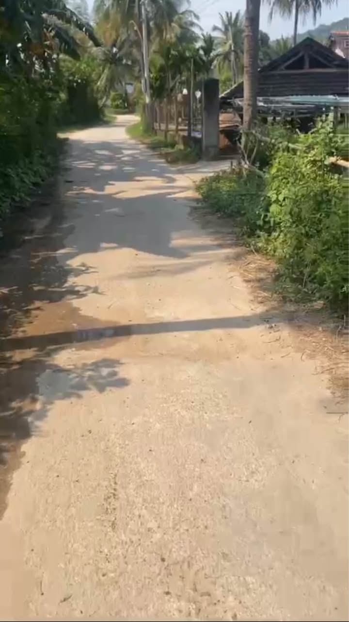 Đất nền Cát Lâm, Phù Cát 800m² giá chỉ 200 triệu - Cơ hội đầu tư tuyệt vời!