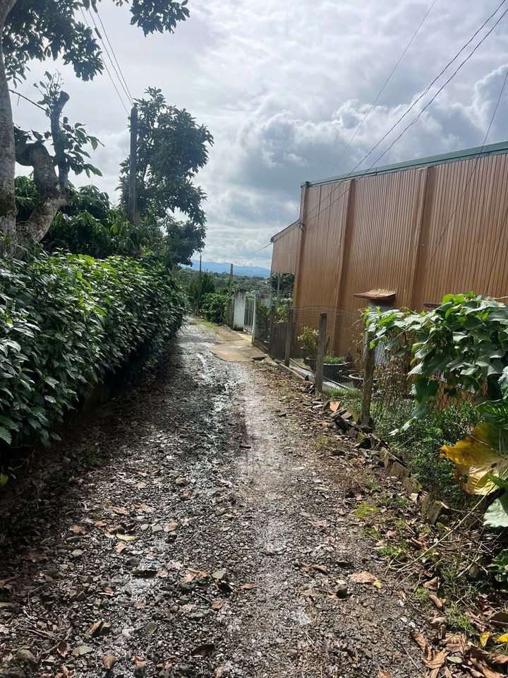 Đất thổ cư 1080m² tại thôn 1 Hòa Bắc - Giá chỉ 1.7 tỷ VND!