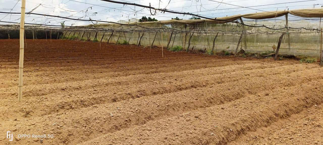 Đất nông nghiệp Ka Đô Đơn Dương 4,300m² giá 2.6 tỷ - Sổ hồng chính chủ, đầu tư sinh lời!