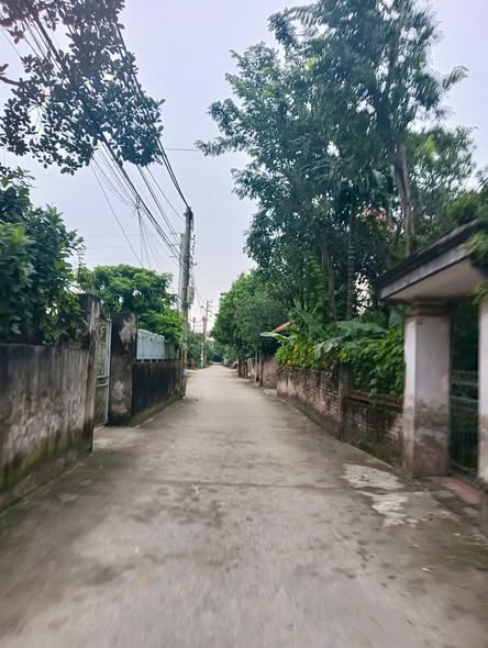 Đất đẹp Chương Dương Thường Tín 68m² giá chỉ 2.1 tỷ - Cơ hội đầu tư tuyệt vời!