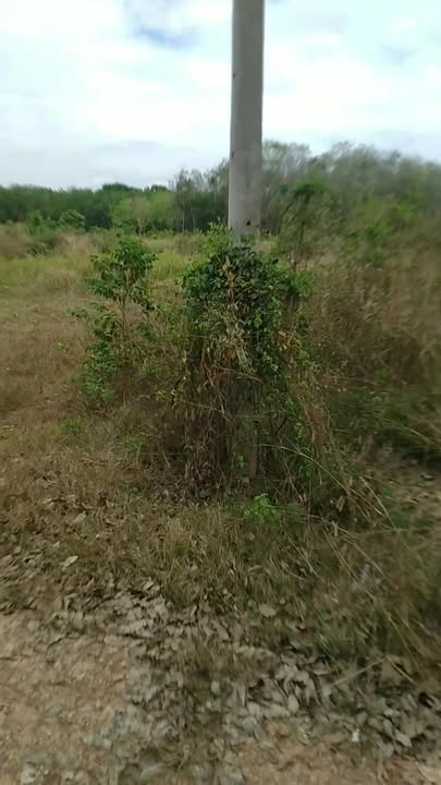 Đất nền 32.000m² tại Vĩnh Tân, Tân Uyên, Bình Dương - Giá chỉ 110 tỷ, cơ hội đầu tư hấp dẫn!