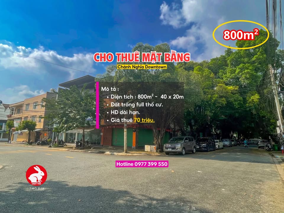 Mặt bằng cho thuê 800m² tại Chánh Nghĩa, Thủ Dầu Một - Không gian lý tưởng cho kinh doanh!