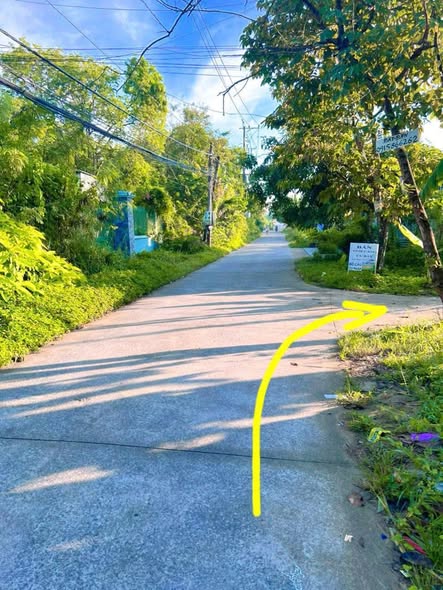 Đất Phú Tân Bến Tre 791m² giá chỉ 3.56 tỷ - Sổ hồng chính chủ, thương lượng nhẹ!