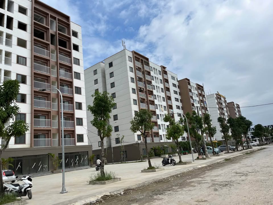 Chung cư Hoàng Long Thanh Hóa 60m² giá 900 triệu - Căn góc hiếm, an cư lý tưởng!