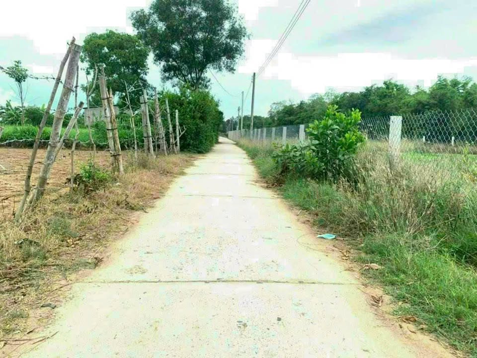 Đất nền thổ cư 230m² tại Hòa Lợi, Châu Thành - Cơ hội đầu tư hấp dẫn!