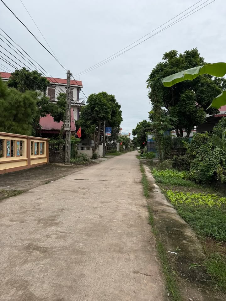 Đất nền Hoàng Thanh Hiệp Hòa 160m² giá 1.2 tỷ - Đầu tư sinh lời ngay!