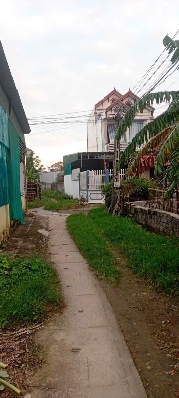 Đất nền Ninh Thành, Quảng Tiến, Sầm Sơn 75m² giá 800 triệu - Lô đất hướng Nam, đường ô tô rộng