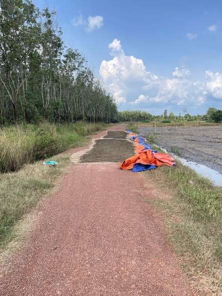 Đất nền Suối Đá, Dương Minh Châu 1000m² giá tốt - Đầu tư sinh lời!