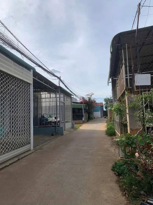 Đất Hẻm số 8 Thống Nhất, Phú Hội, 144m² chỉ 1.6 tỷ - Đầu tư sinh lời ngay!