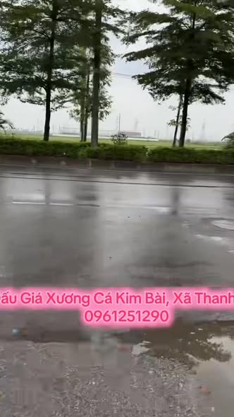 Đất đấu giá khu Xương Cá, xã Thanh Oai, 77m² chỉ 7 tỷ - Cơ hội đầu tư tuyệt vời!