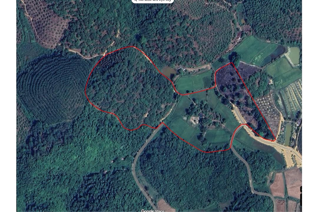 Đất nông nghiệp Cát Tiên 5ha giá 4.2 tỷ - Đầu tư sinh lời ngay!